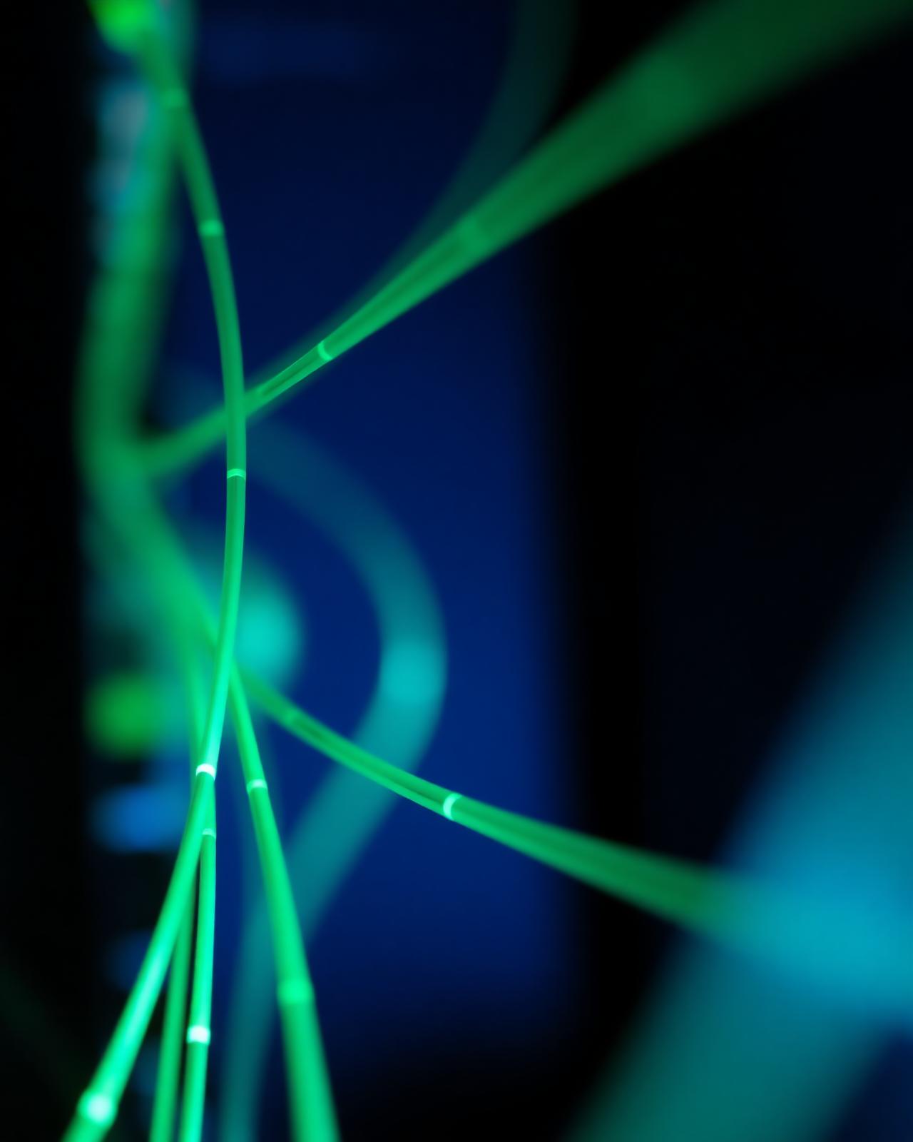 Glowing emerald fiber optics on a deep navy field